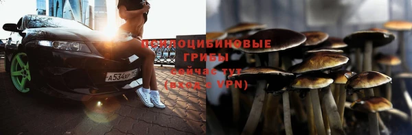 Альфа ПВП Вязники