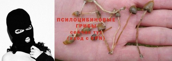 Альфа ПВП Вязники