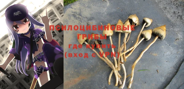 крисы Вяземский