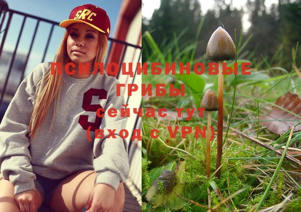 крисы Вяземский