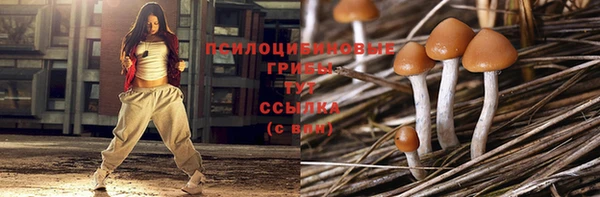Альфа ПВП Вязники