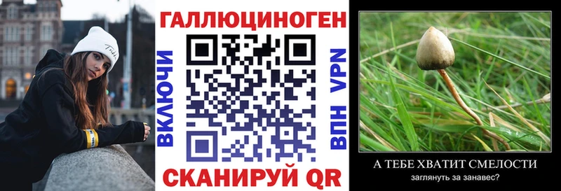 Галлюциногенные грибы Psilocybine cubensis  закладки  Магнитогорск 